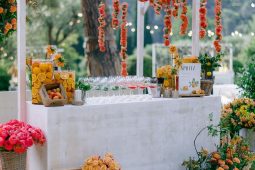 WELCOME EVENT IN MIDDLE OF CHATEAU SAINT MARTIN OLIVE GROVE