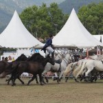 Fête du cheval à Levens-aucop-evenement-levens-fete du cheval-sonorisation-eclairage-location-materiel-audiovisuel-nice-marseille-paris