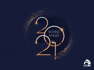 BONNE ANNEE 2021
